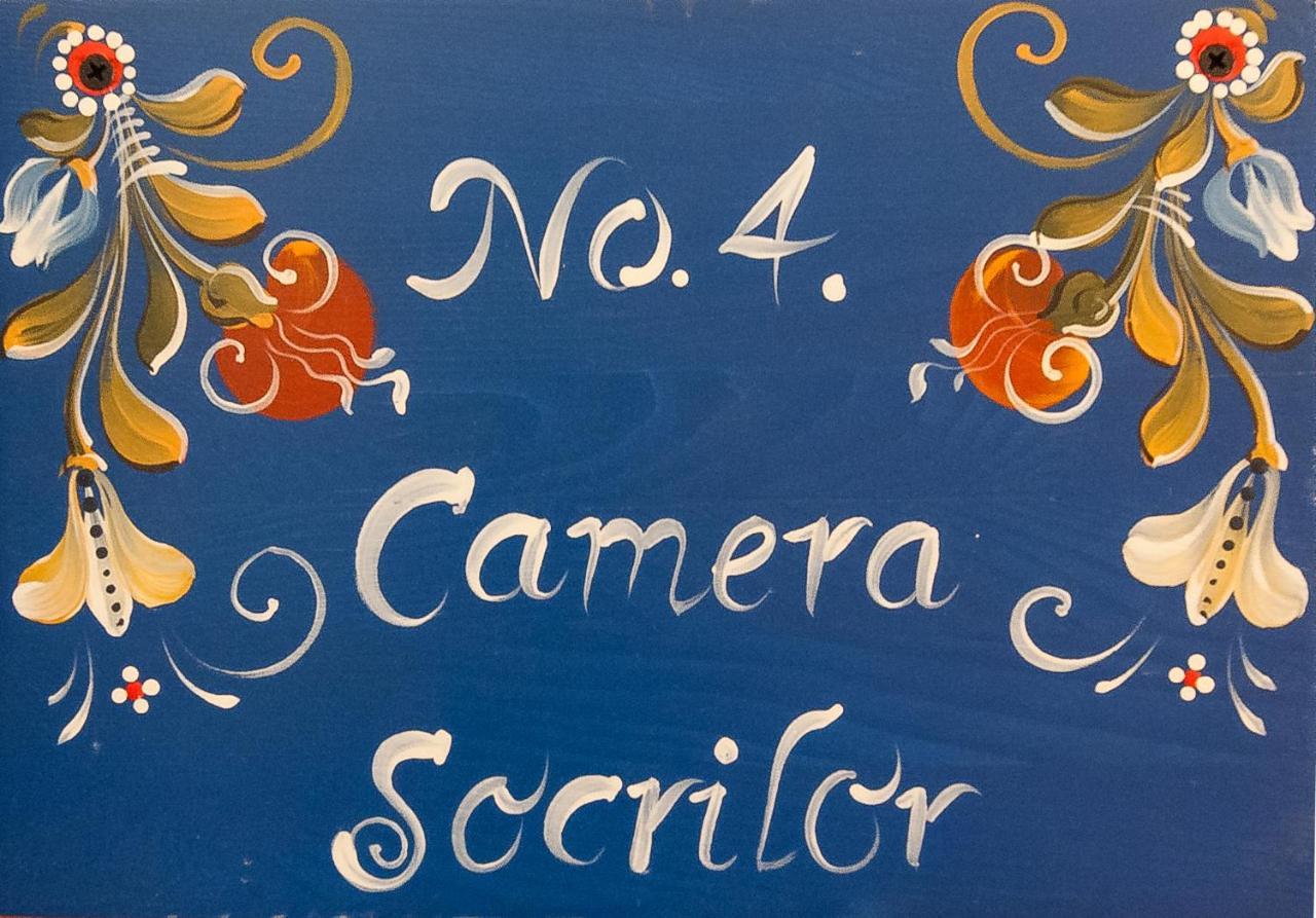 Pension Cartref Saschiz 部屋 写真