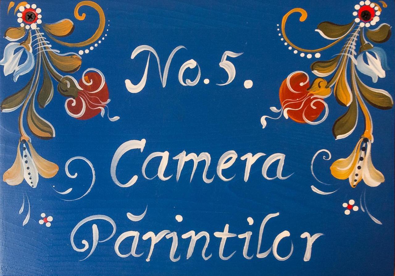 Pension Cartref Saschiz 部屋 写真