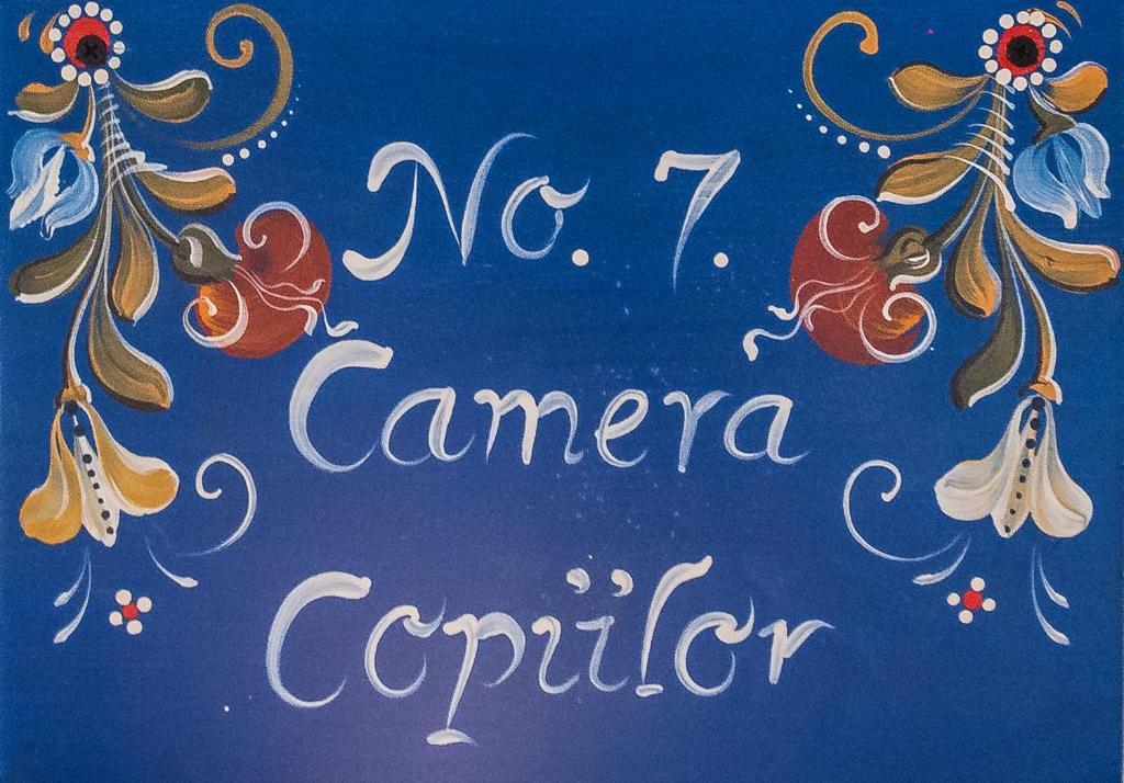Pension Cartref Saschiz 部屋 写真