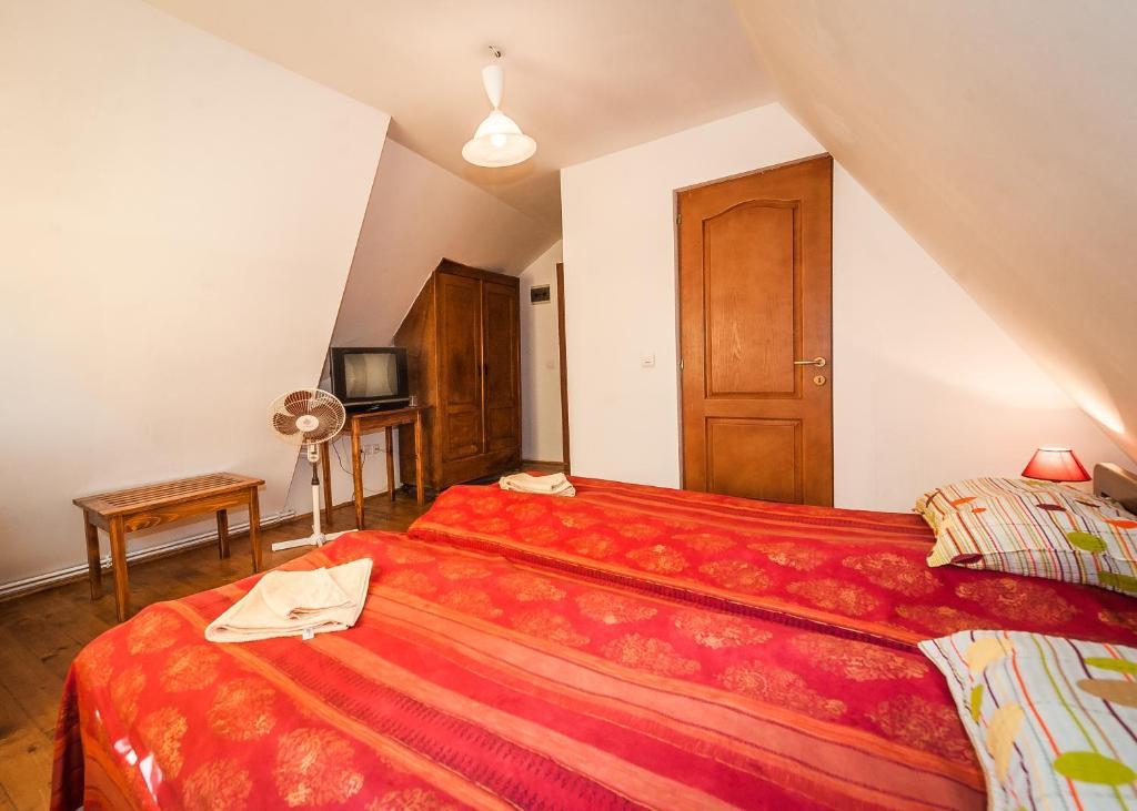 Pension Cartref Saschiz 部屋 写真
